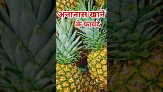 अनानास खाने के फायदेAnanas khane ke fayde shorts healthtips facts pineapple [upl. by Hildagard]