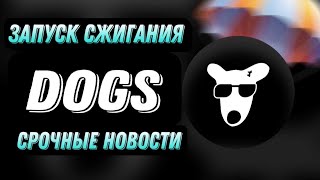 DOGS СРОЧНЫЕ НОВОСТИ  ЗАПУСК СЖИГАНИЯ ТОКЕНОВ [upl. by Bannon]