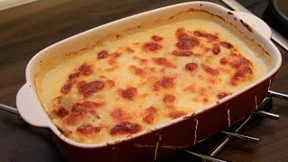 SpinatLachsLasagne selbst gemacht spinach salmon lasagna Schritt für Schritt [upl. by Nikolos760]