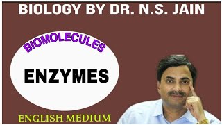 Enzymes Biomolecules  English Medium [upl. by Wiggins167]