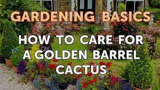 How to Care for a Golden Barrel Cactus [upl. by Azarria]