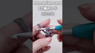 Romanian cord 새우뜨기 エビ編みコード カバンの持ち手の編み方 [upl. by Zedekiah872]