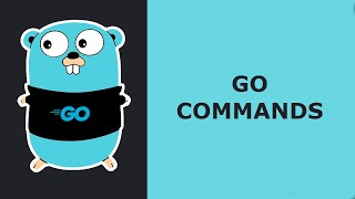 Golang Tutorial For Beginners Hindi03 Go Commands [upl. by Adlihtam]