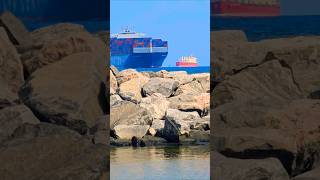 PASSING ON YOUR STARBOARD🌊🌊 ship containership wow epic waves oiltanker bulkcarrier sea [upl. by Ydoj]