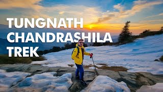 Chopta Chandrashila Trek  Tungnath Mahadev  Worlds highest Shiva Temple Panchkedar [upl. by Yhtak]