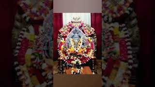 Shri Vinayaka Temple Noida🙏jaiganesh devashreeganesha evening puja aarti viralvideo trending [upl. by Ativet]