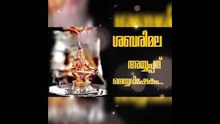 ഒരേ ഒരു ലക്ഷ്യം shortsfeed ayyappaswamysongs devotionalsongs [upl. by Konstance]