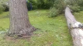 Derecho Storm amp Hurricane Beryl Backyard Aftermath [upl. by Medorra]