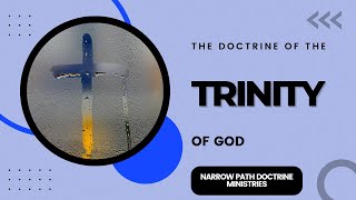 The Doctrine of the Trinity  RC Sproul  Michael Reeves [upl. by Lednar]