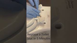 Replace a Toilet Seat in 5 min shorts [upl. by Anorahs644]