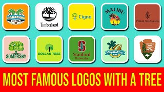 Top Logos with Tree Symbols and Their Meanings [upl. by Maretz874]