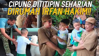 SEHARIAN NGASUH BINATANG DIRUMAH IRFAN HAKIM CIPUNG KEGIRANGAN DIKASIH BABY DOMBA BUAT BAWA PULANG [upl. by Newel]