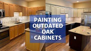 Painting Oak Cabinets  Transform Your Kitchen [upl. by Egdirdle658]