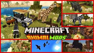 🦅Best ANIMALS MOD for Minecraft PEbedrock 121 • ADDONS MCBE [upl. by Reich]