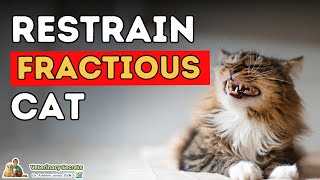 How To Restrain a Fractious Cat and Trim Cat Nails [upl. by Rehtse]