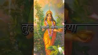 happy tulsi vivah whatsapp status video 2024✨ tulsi vivah special status video ✨ytshorts [upl. by Aieki725]