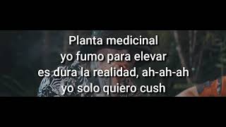 SANTA FE KLAN FT BUBASETA  PLANTA MEDICINAL LETRA  VIDEO HD [upl. by Naul568]