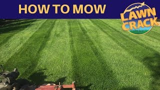 How to Mow a Lawn  Professional Lawn Mowing Tutorial  How to Mow Edge Trim amp Blow  LawnCrack [upl. by Oile877]