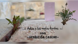 ADIÓS a las malas hierbas 🌿 con un HERBICIDA CASERO fácil y efectivo [upl. by Hakym501]