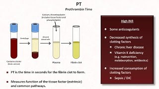 Hemostasis Lesson 4  Tests INR PTT platelets fibrinogen Ddimer [upl. by Aleyak]