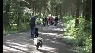 Regio wandeling Amsterdamsbos [upl. by Virginie]