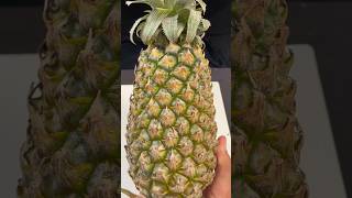 Pineapple fruit cuttingshortssatisfying nature [upl. by Oilenroc]