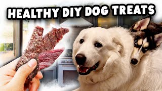 DIY Salmon Jerky FOR DOGS [upl. by Esertap59]