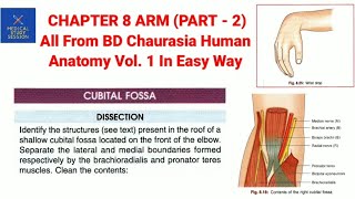 Chapter 8 ARM part  2 all from Bd chaurasia human anatomy volume 1 [upl. by Ecinna]