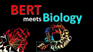 BERTology Meets Biology Interpreting Attention in Protein Language Models Paper Explained [upl. by Ynatsed]