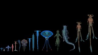 All Leviathan Class Organisms known yet on 4546B  All leviathan size comparison [upl. by Royall]