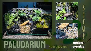 Instructions for paludarium tank 50x40x25 cm details [upl. by Ynogoham956]