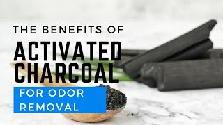 The Benefits of Using Activated Charcoal for Odor Control [upl. by Fronnia]