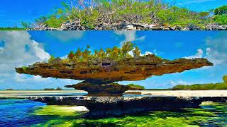 Seychelles  Aldabra Atoll [upl. by Ahiel]