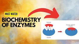 Enzymes  Enzymes Biochemistry  Enzymes MDCAT Lecture [upl. by Aracahs]