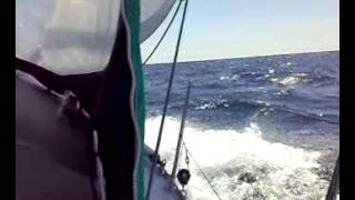 Solo Sailing my Sadler 32 Samingo ll [upl. by Etnud435]