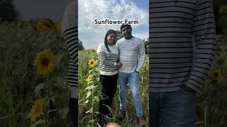 Sunflower farm with family [upl. by Ade]