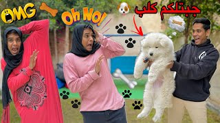 لما تاخد الكلب بتاع صاحبك و تدخله البيت 🐶🦴😂  Bassem Otaka اوتاكا [upl. by Shevlo]