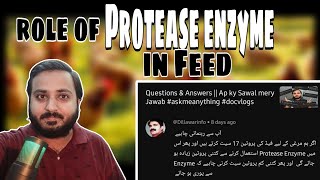 Feed Formulation my Protease Enzyme kia role play krta hy  Role of Protease Enzyme in Feed 🐓🐔🐤🥚 [upl. by Toback]