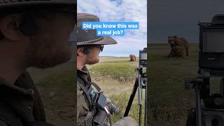 Bear Whisperer Bear Guide Bear Photographer What Would You Call It alaska bearviewing [upl. by Assirahc481]