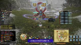 【ff14】野良に贈る対固定戦術  フロントライン砕氷戦 【解説】 [upl. by Neemsay]