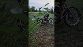 HARLEY SPORTSTER automobile motorcycle harleydavidson vibes music summer hd asmr shorts [upl. by Calloway]