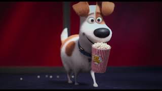 The Secret Life of Pets Snowball The Bunny 2024 at Universal Studios Hollywood [upl. by Ezequiel]