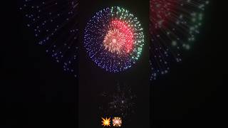 Wait for it 😱 fireworks skyshot crackers amazing failepic newshorts viralshorts subscribe [upl. by Kajdan]