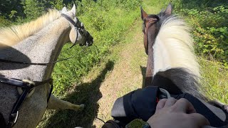 8192023 GOPRO Trail Riding Compilation with Bitless amp Bridleless [upl. by Nomed]