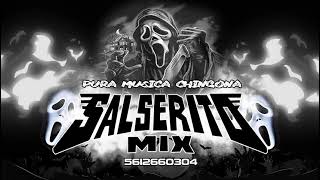 ♫LOS ACORDEONES DEL SALSERITO CUMBIA COLOMBIANA VER EDITADA EXC SALSERITO MIX INF WHAPP 5612660304♫ [upl. by Ttevy223]