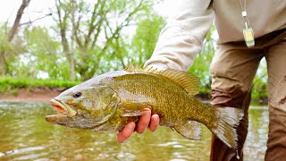 Game Changers amp Small Mouth Bass [upl. by Witherspoon]