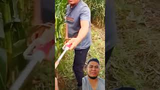 Casi funciona 🤣 milpa rancho agricultura tractor implementosagricolas [upl. by Theodoric]