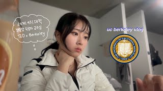 koreng UC Berkeley Vlog 유씨 버클리 브이로그  a week in my life [upl. by Ramsden]