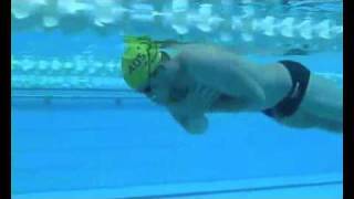 How To Swim Faster Freestyle [upl. by Oemor]