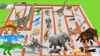 Which Animal vs Dinosaurs Speed Race Run Maze course Challenge Animal Revolt Battle Simulator [upl. by Feola]